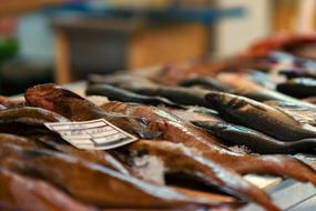 Fish Market Sea