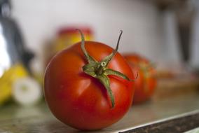 Tomato Of Kidney