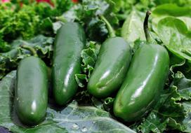 Vegetable Food Flora