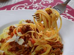 durum pasta on a fork