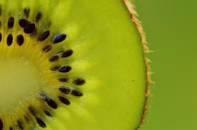 Healthy Kiwi Fruit seeds