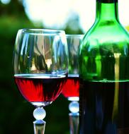 Wine Glass Bottle