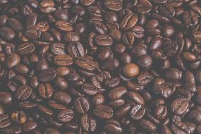 Coffee Espresso Caffeine