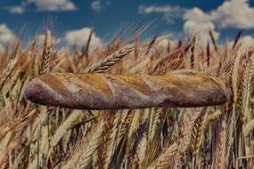 Bread and Wheat cereals