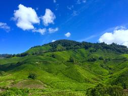 Agriculture Countryside Cropland
