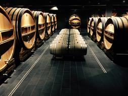 Wine Casks Champagne