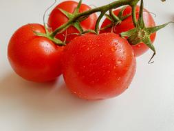 Food Healthy Tomatoes