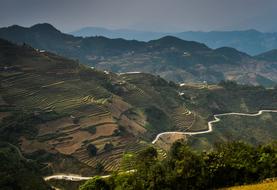 Vietnam Northern Circuit Rice