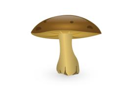 mushroom cartoon fungus vegetable
