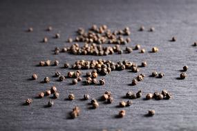 Salt Pepper Condiments