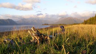 Chinitna Bay Lake Clark in National park