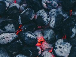 Coal Cookout Barbecue