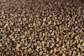 Buckwheat Cereals Diet Dietary