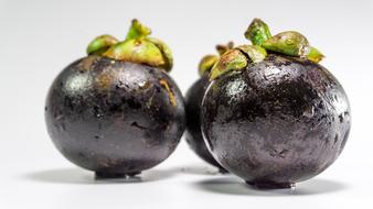 Mangosteen Fruit White