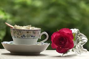 Drink Coffee Cream