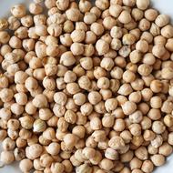 Chickpeas Grains Eating Vegetables