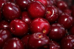 Red ripe Cherry