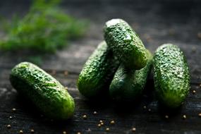 Cucumber Plant Green