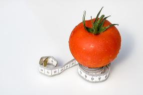 Tape Measure Tomato Coiled