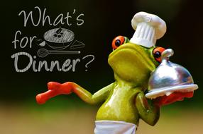 Frog Cooking Eat