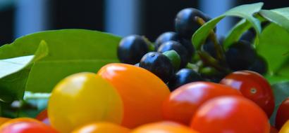 Cherry Laurel Berries Tomatoes