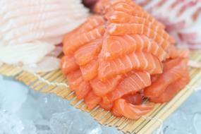 Time Salmon Times Japanese