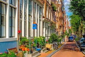 Street Vegetation Tourism