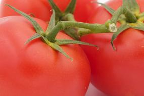 Tomatoes Vegetables On The Vine