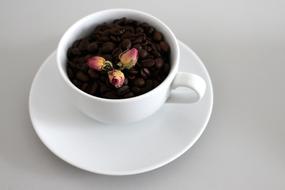 Food Cup Drink