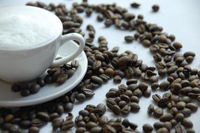 Coffee Beans