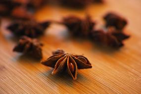 Anise Food Smell