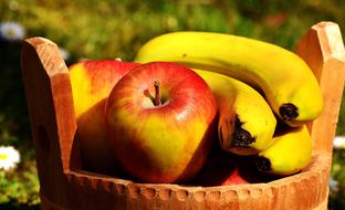 Apple Fruit Ripe