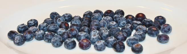 Blueberries Berry Fruit Food