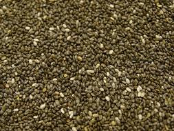 Chia Seeds Nutrition