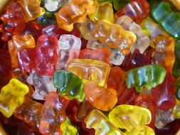 Gummi Bears Bear