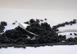 Black Caviar Cup
