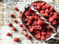 Raspberries Fruit Red