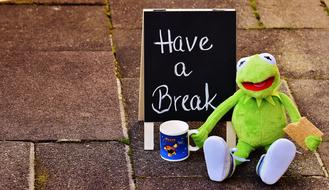 Kermit with Cup and board