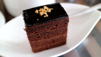 Cake Chocolate