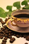 Coffee Beans Break