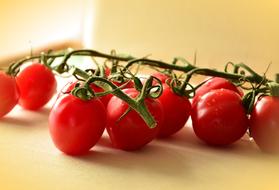 Trusses Tomatoes Red