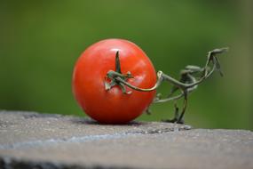 Tomato Food