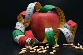 Apple Tape Measure Pine Nuts