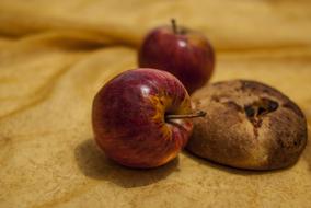 Bread Fruit Apple