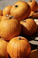 Pumpkin Orange Harvest