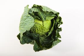 Green Cabbage Power