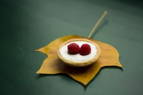 Fruit Leaf Dessert