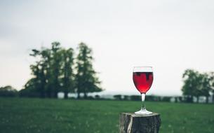 Close-up of the glass of red wine, on the wood, at background with the green meadow and trees