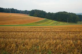 Agriculture Field Harvest