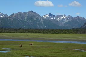 Landscape Scenic Nature Brown